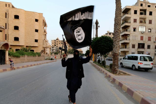 Isis has suffered a number of high-profile losses
