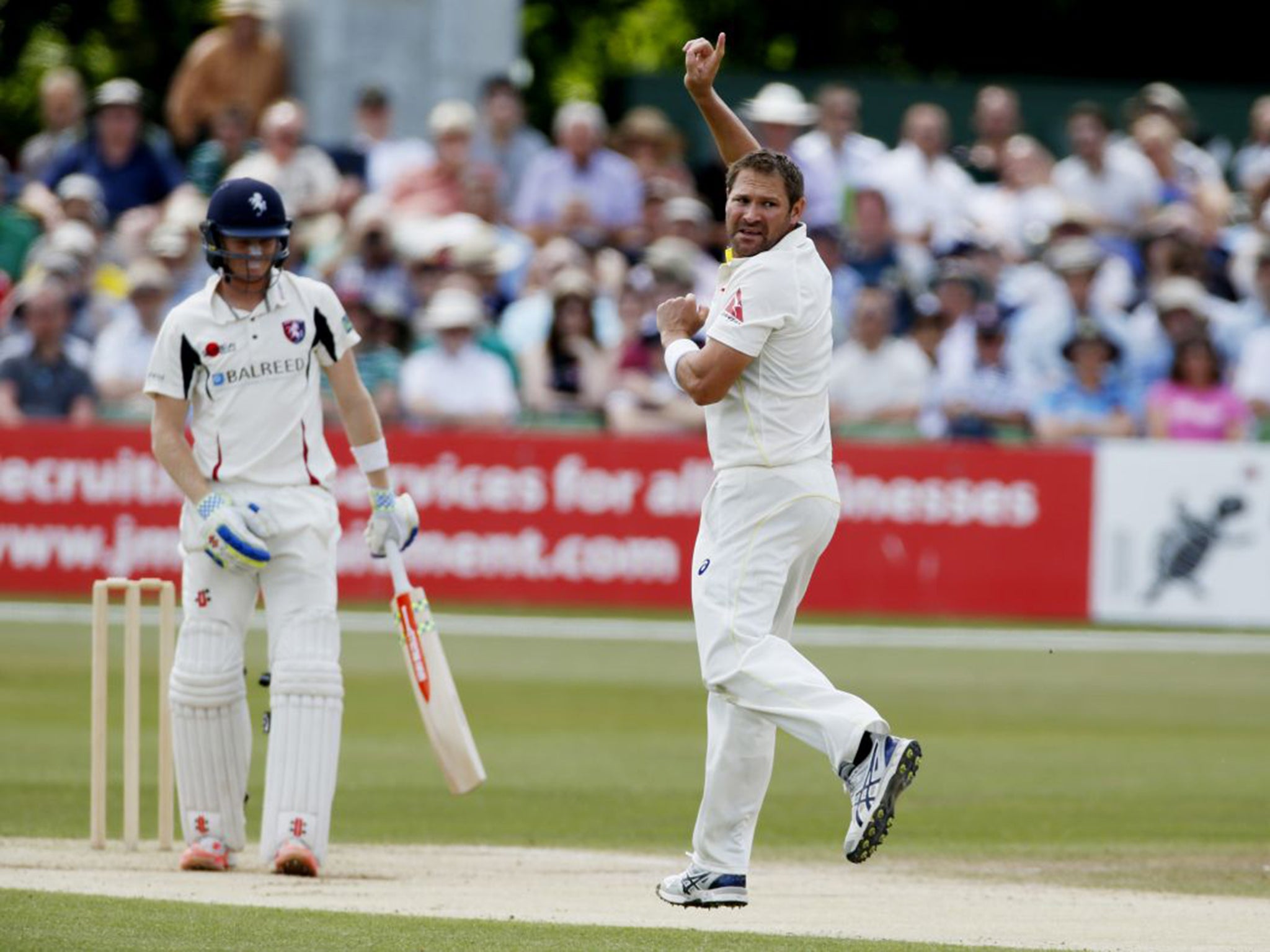 Pick me: Ryan Harris tries to attract attention with two wickets on Saturday