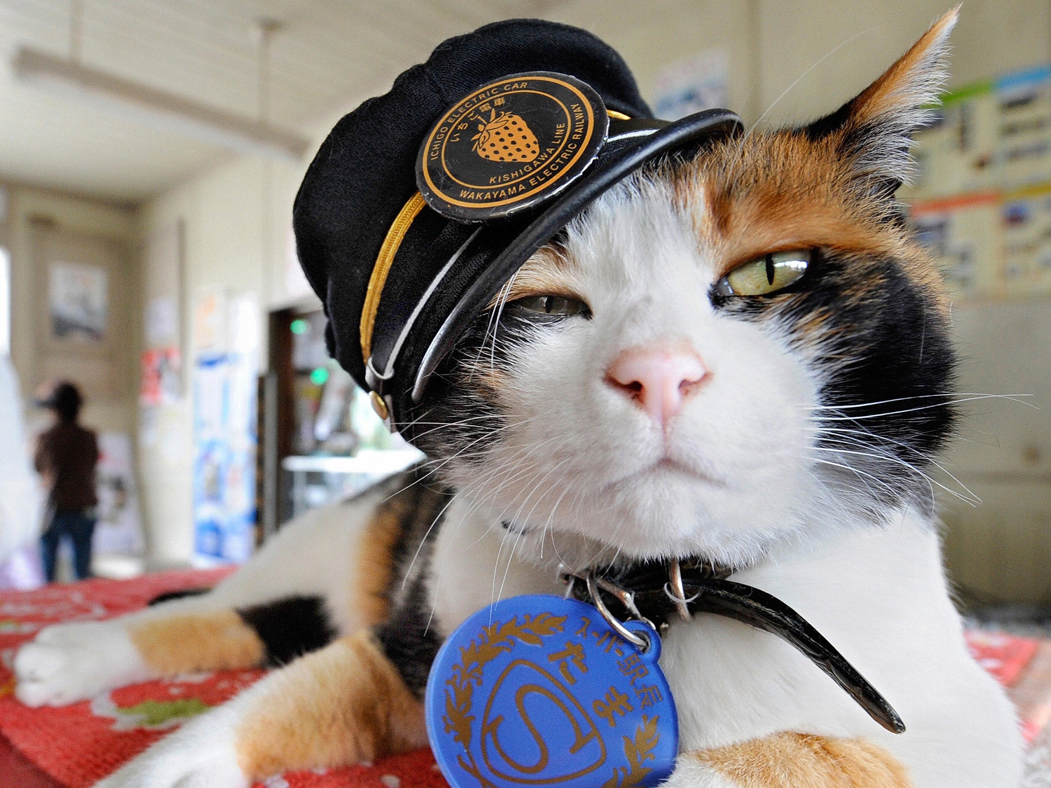 Tama, well known as stationmaster on the local Kishigawa railway line, died of heart failure in June