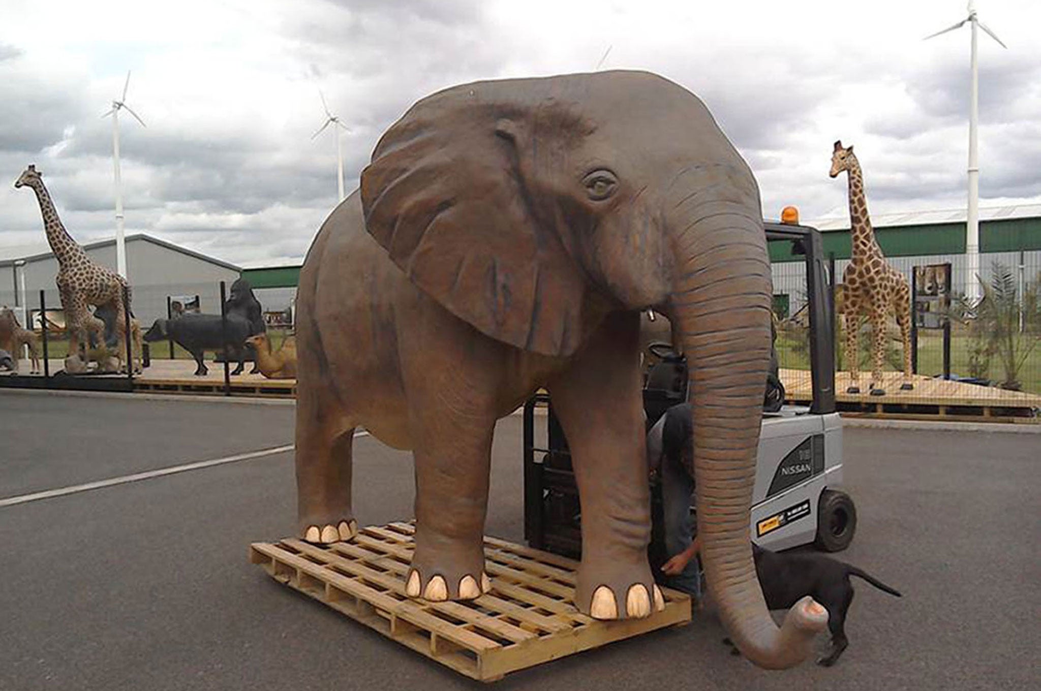 A 10ft plastic replica elephant, which is believed will feature in the last episode of the current series of Top Gear