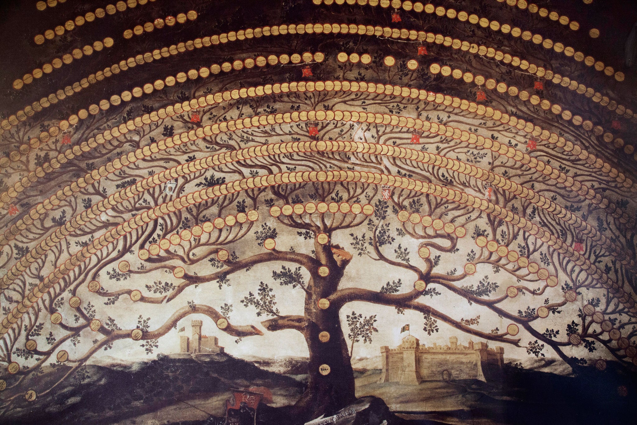 A family tree on the walls of the Castello di Nipozzano in Tuscany. Historic records now online reveal the criminal past of hundreds of thousands of Britons
