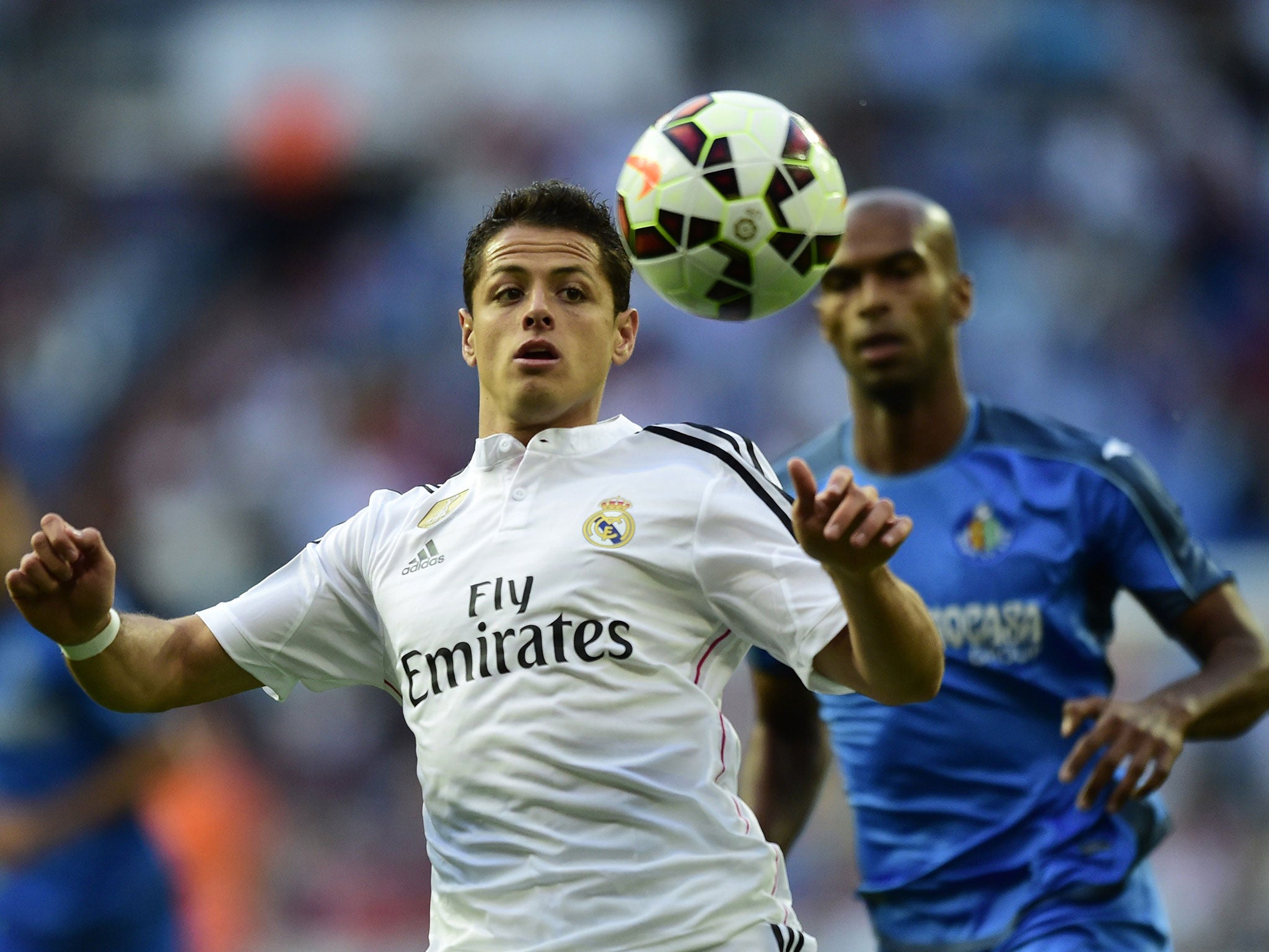 Javier Hernandez spent last season on loan at Real Madrid