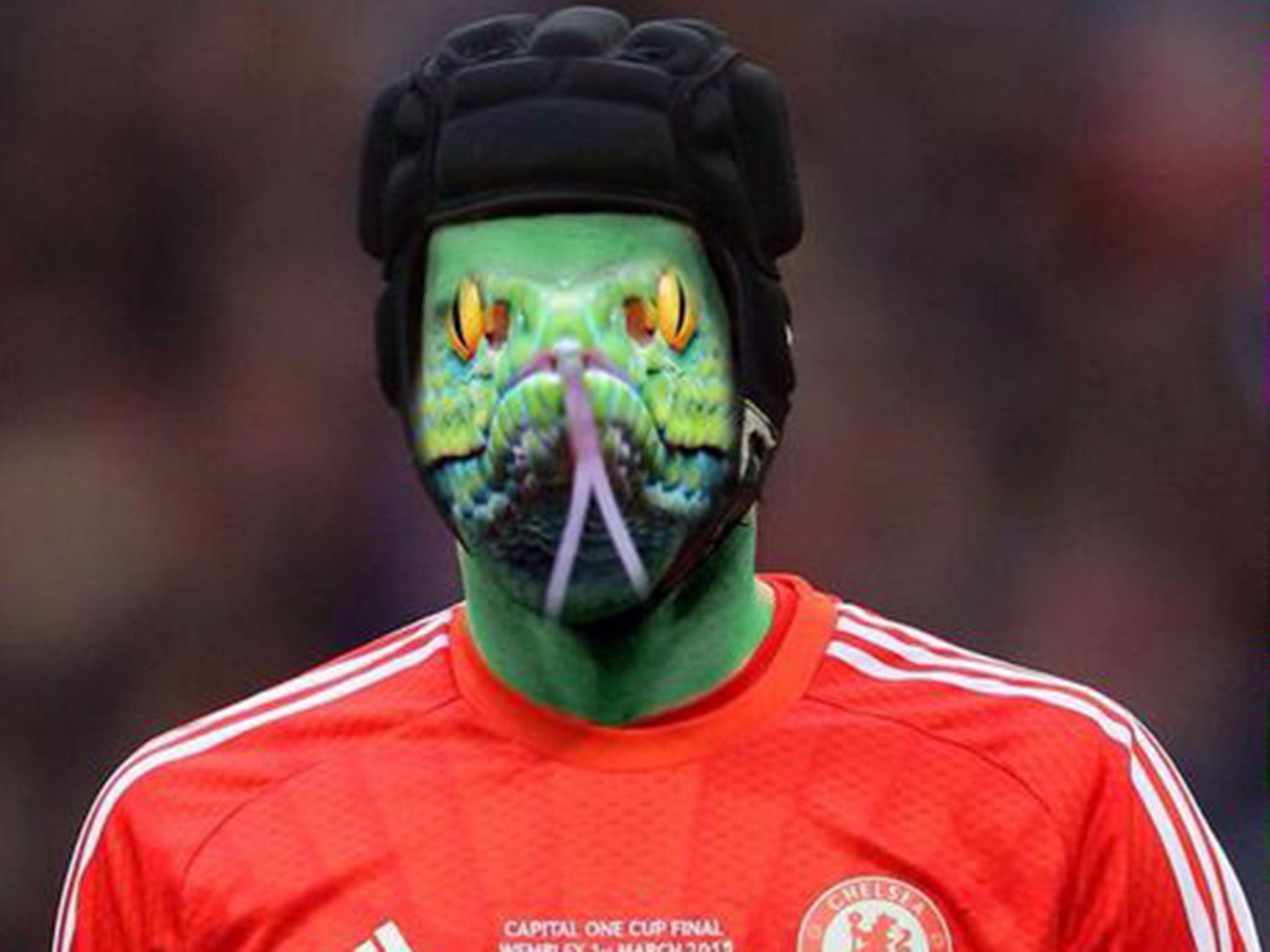 One angry Chelsea fan posted a picture of Petr Cech as a snake