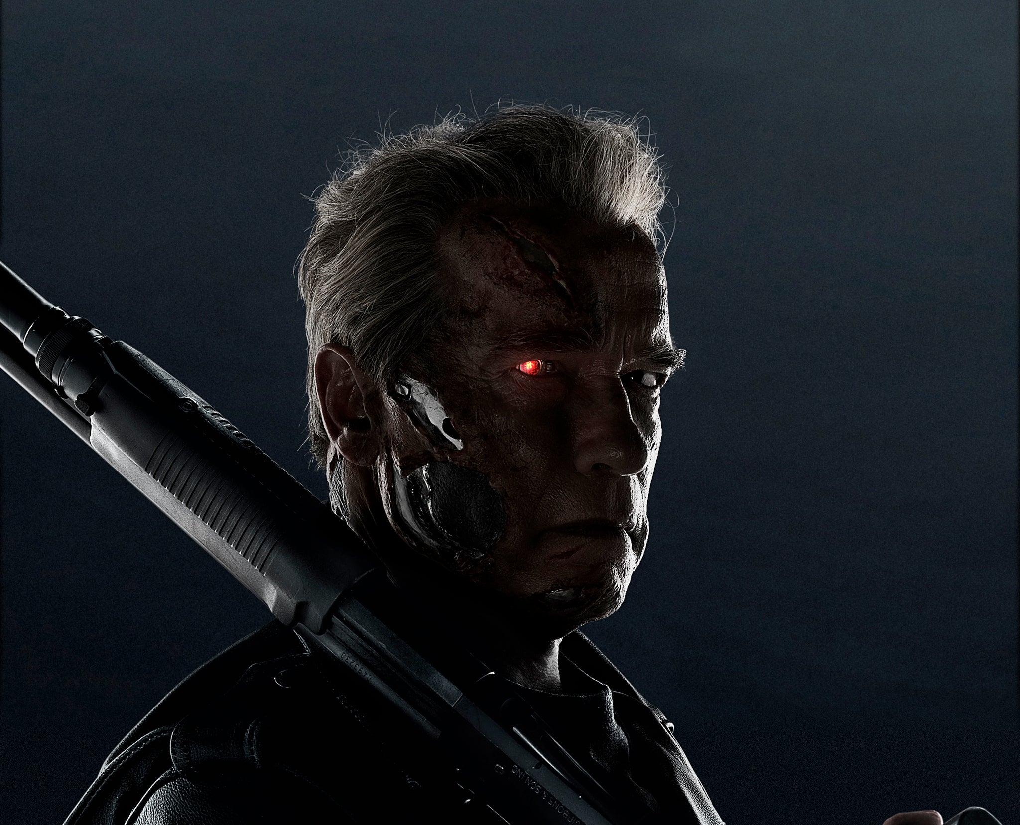 Terminator Genisys sequels put on 'indefinite hold' because film performed  poorly at domestic box-office | The Independent | The Independent