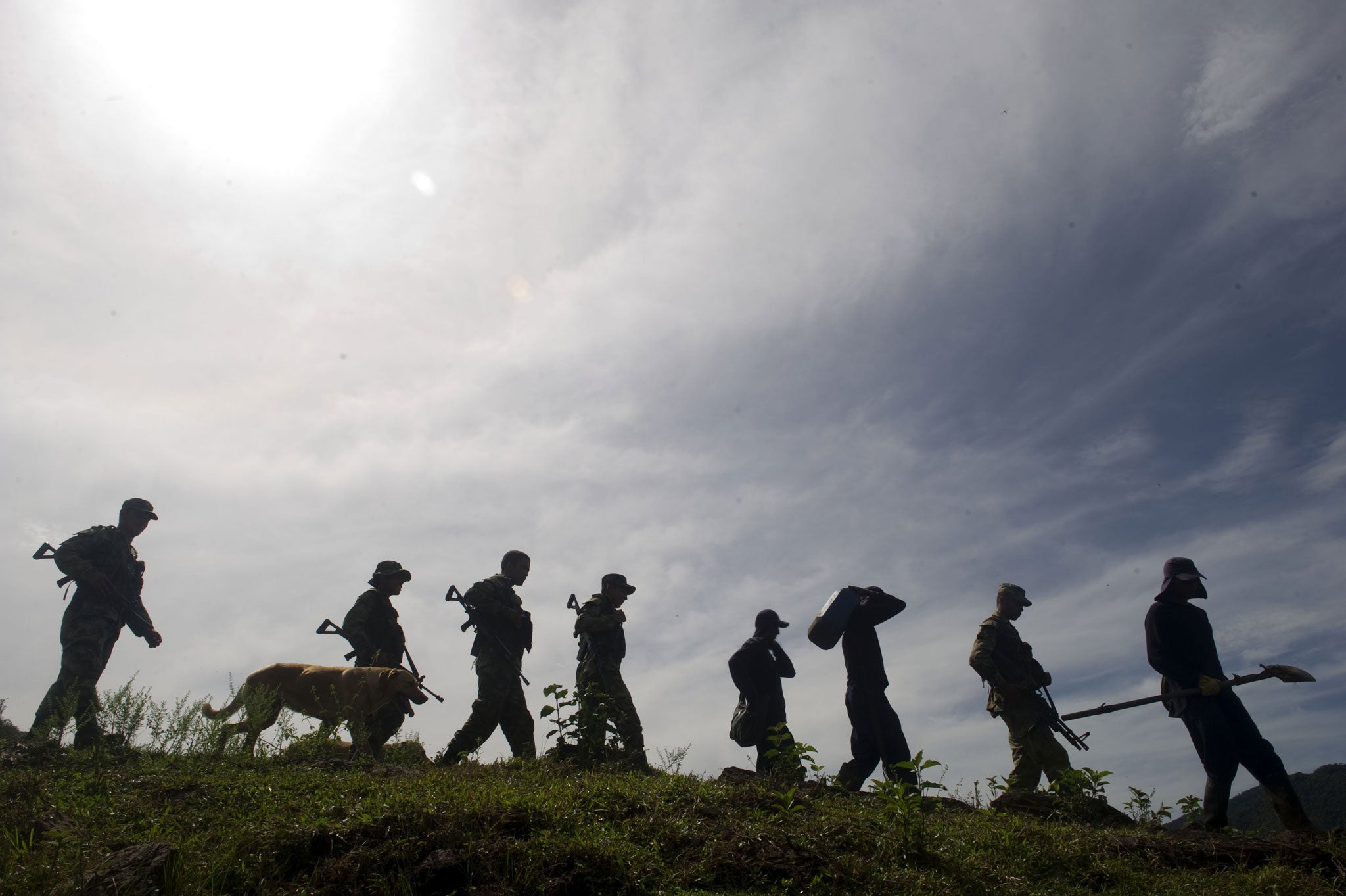 A global scourge: Soldiers and peasants on a coca plantation in the mountains of Colombia