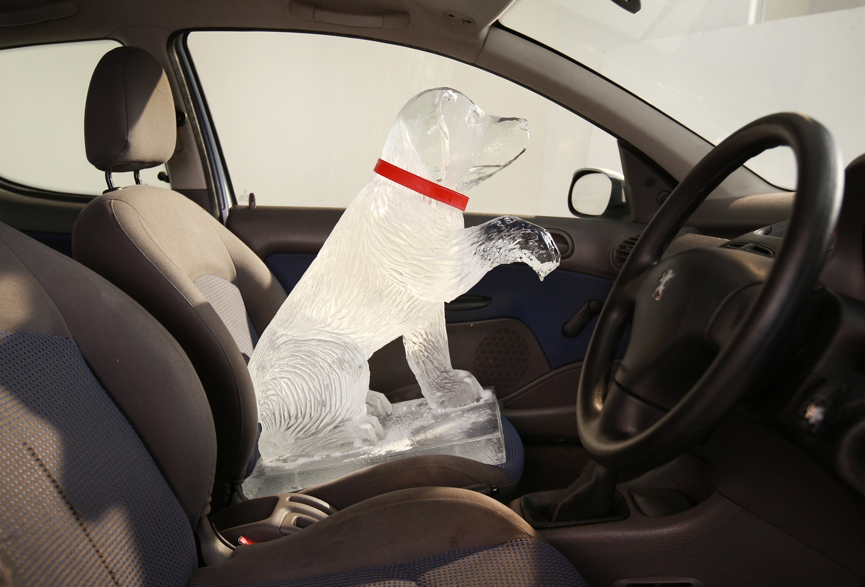 The Dogs Trust placed an ice sculpture in a hot car to illustrate the danger it poses to pets