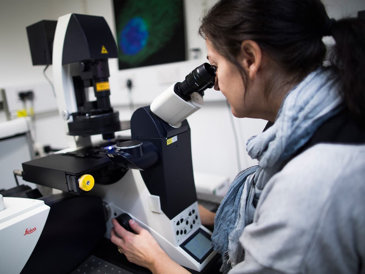 Cancer charity cuts research funding by £45m due to Covid-19 | The ...