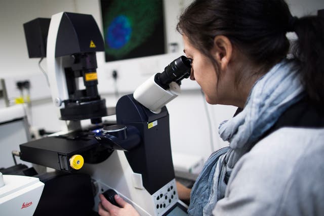 <p>A scientist works at the Cancer Research UK laboratories in Cambridge</p>