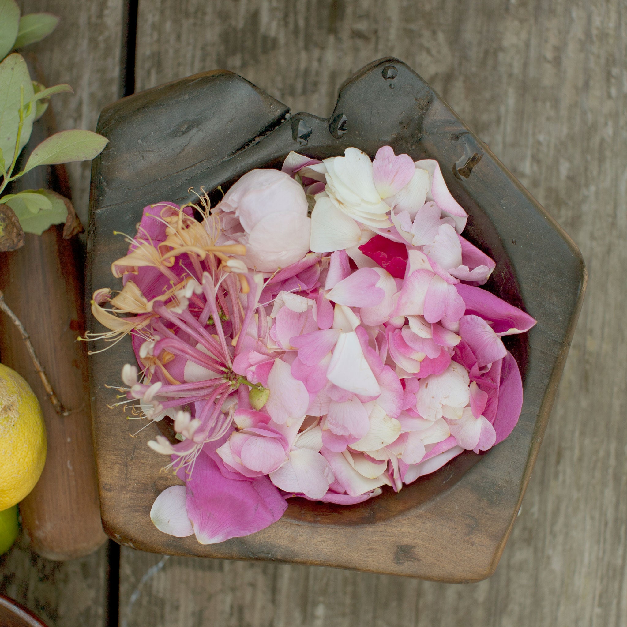 Foraged rose petals and honeysuckle