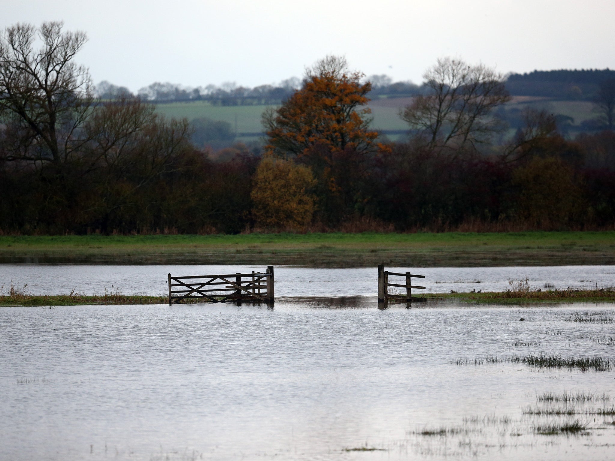 A flooded field is pictured near Muchelney on 17 November 2014 in Muchelney, Somerset, United Kingdom