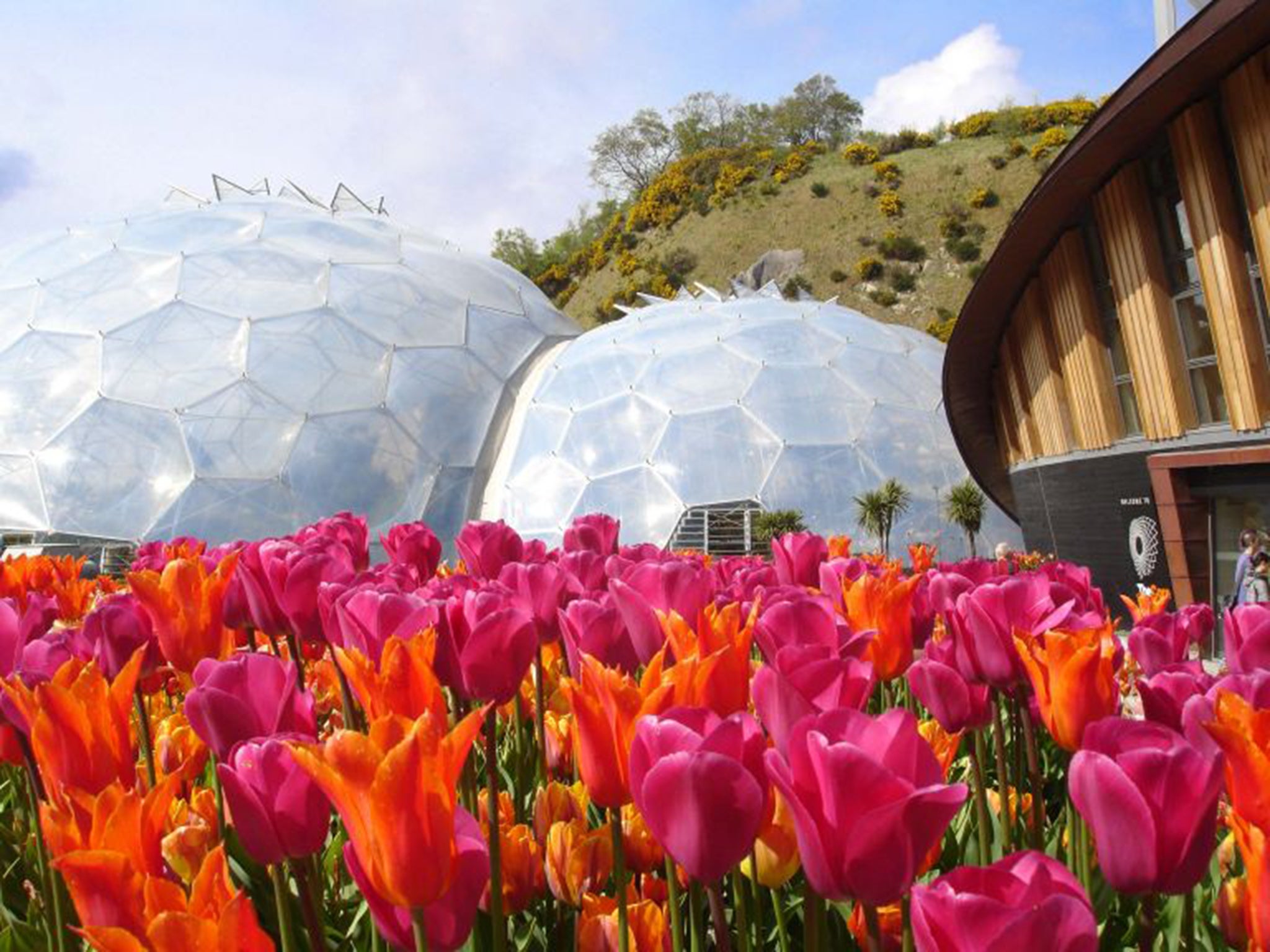 Eden Project staff say keeping pests under control has been a problem inside the biomes where the plants thrive