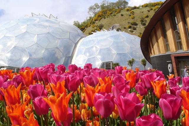 Eden Project staff say keeping pests under control has been a problem inside the biomes where the plants thrive 
