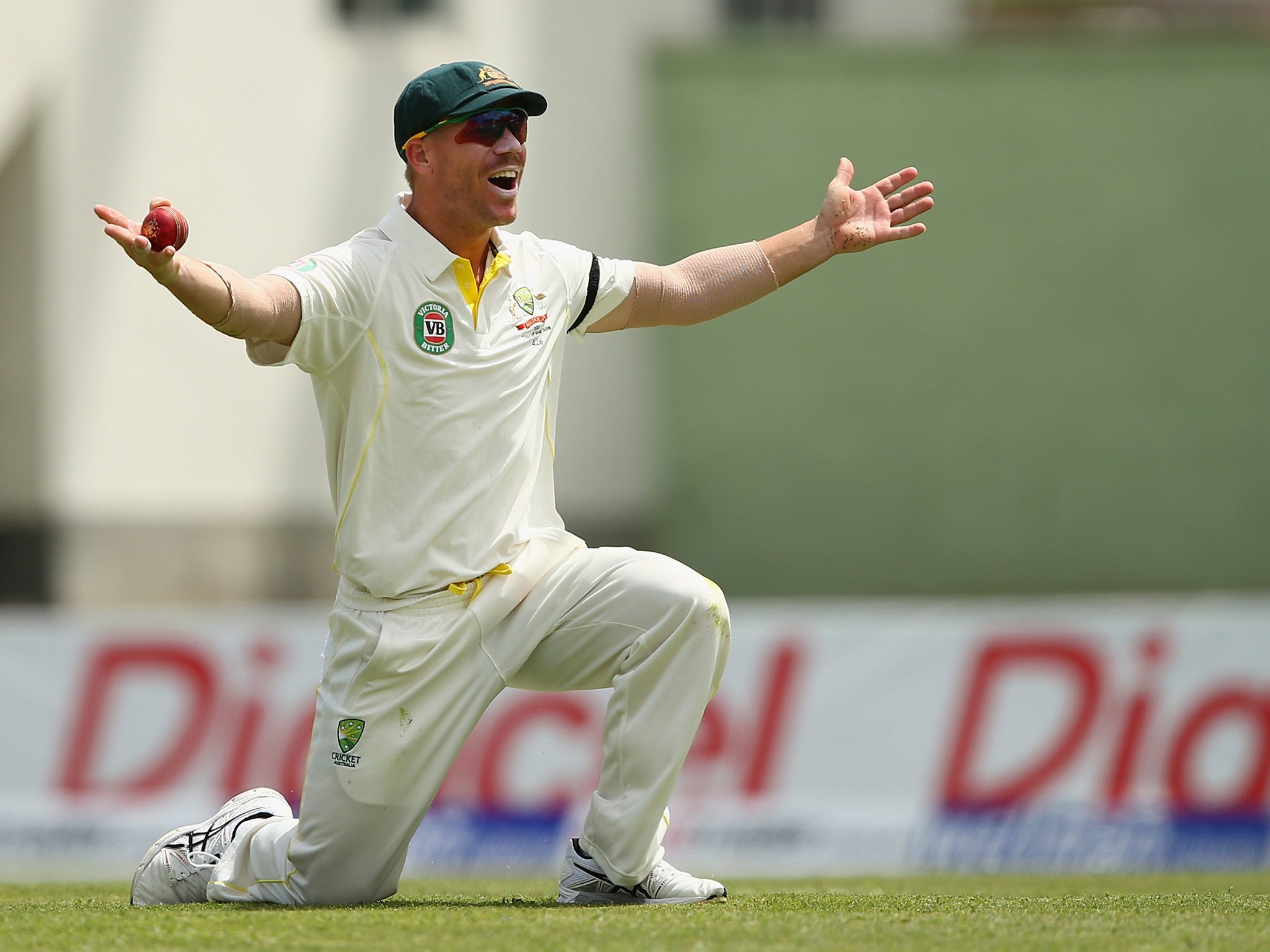 David Warner, pictured, has accused England's Joe Root of being racially insensitive