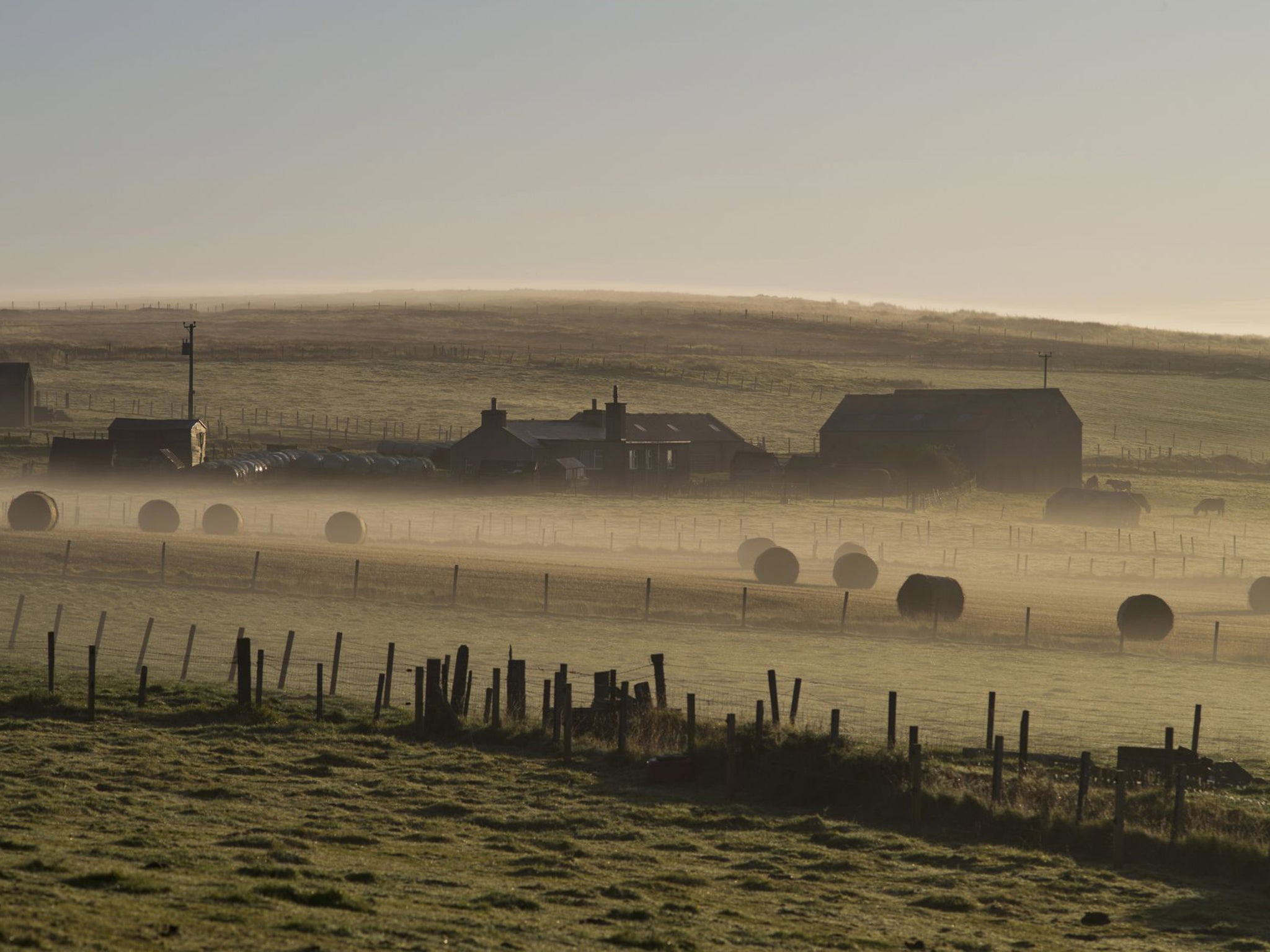 More than two-thirds of Orkney and Shetland voted No in last year’s independence referendum