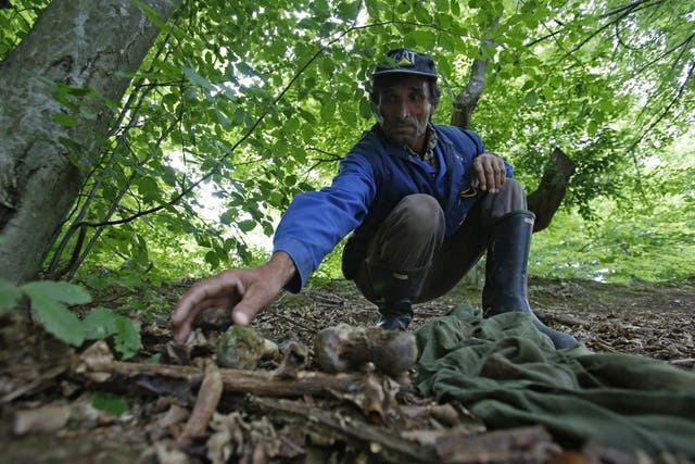 Ramiz Nukic scouring the nearby woods 
