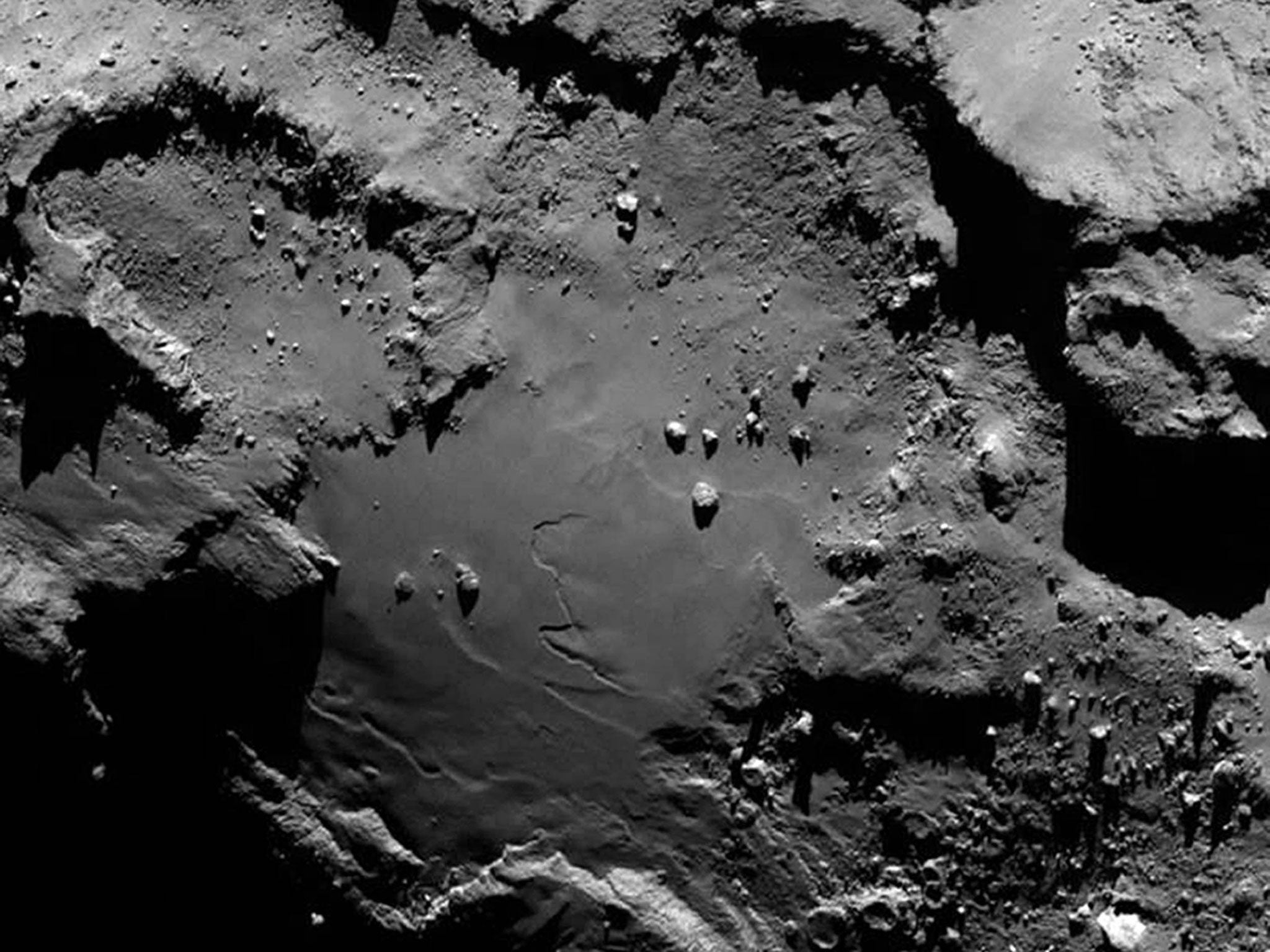 Scientists believe activity by micro-organisms could explain the comet’s features
