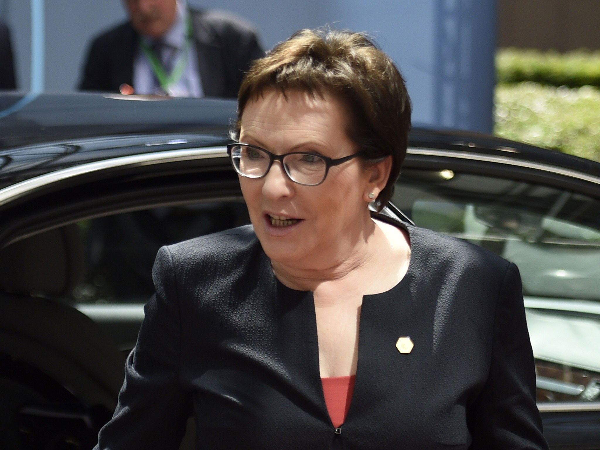 Poland’s Prime Minister, Ewa Kopacz, said a No victory would mean 'the path of Greece can be only one: leaving the eurozone'