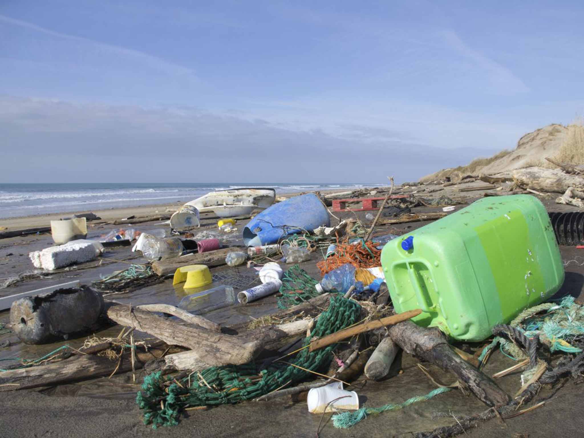 An estimated eight million tonnes of plastic pollution enters the sea each year