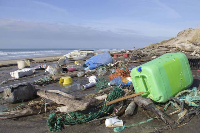 An estimated eight million tonnes of plastic pollution enters the sea each year