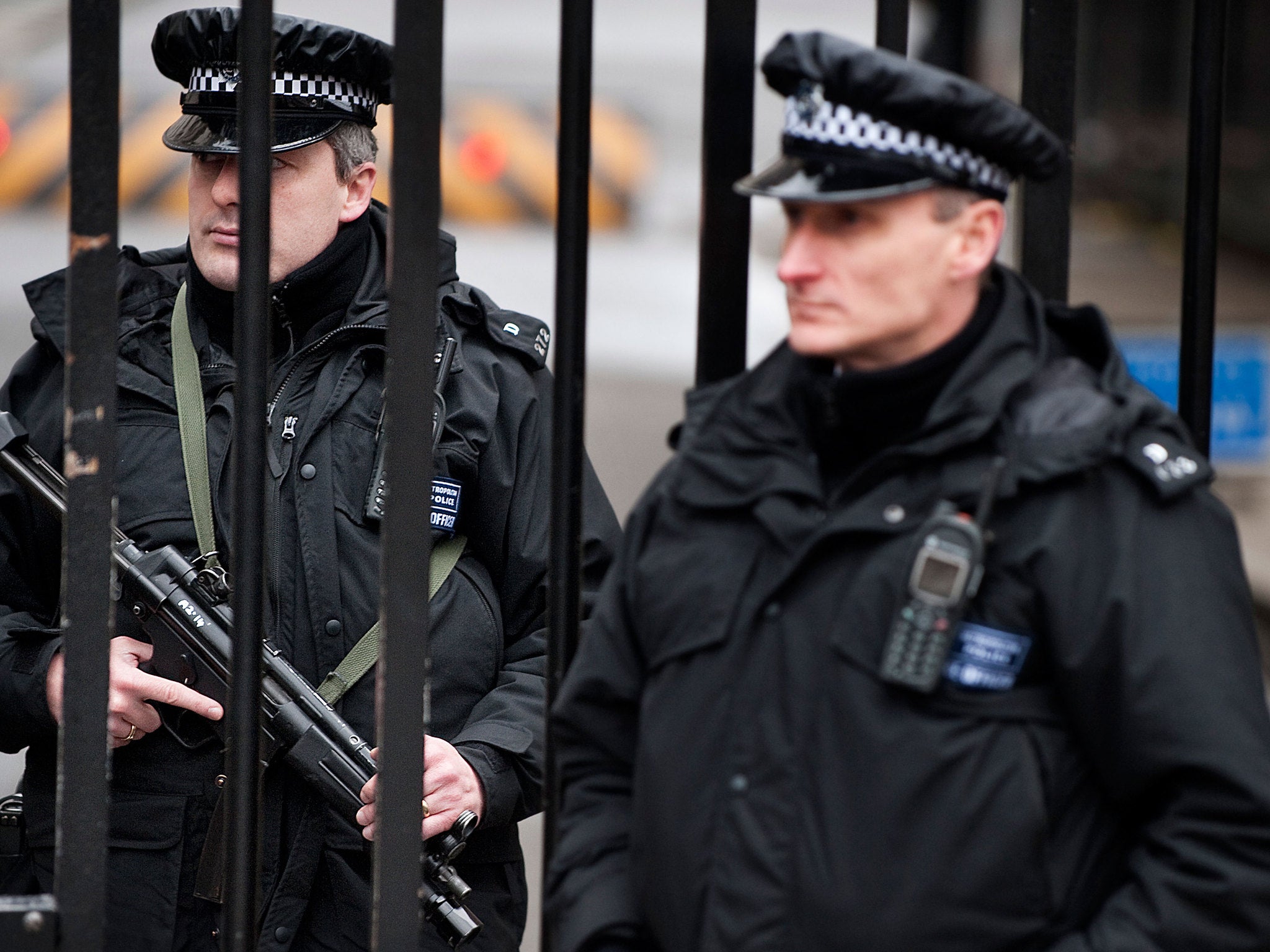 Armed policemen stand guard at the gates of Downing Street. Experts say the threat to Britain has 'diversified' and become 'more intense' - but that the UK security services have adapted their responses as a result