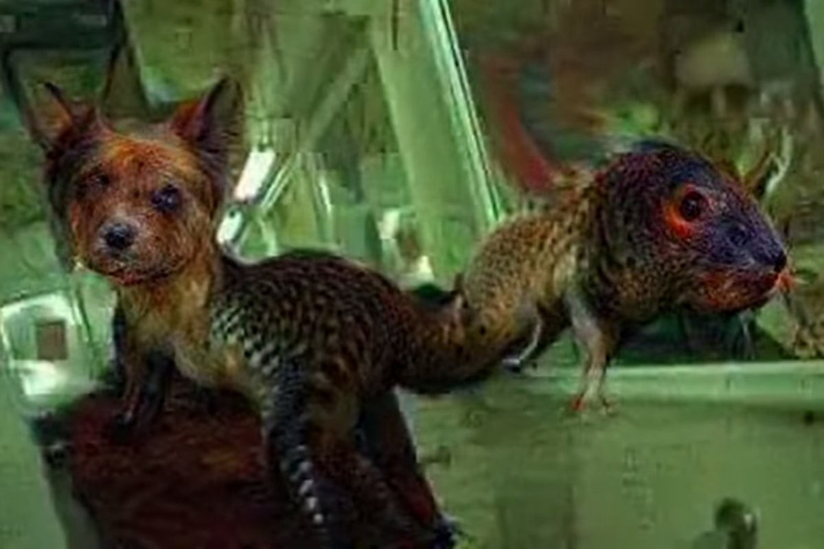 Fear and Loathing in Las Vegas run through Google's Deep Dream neural ...
