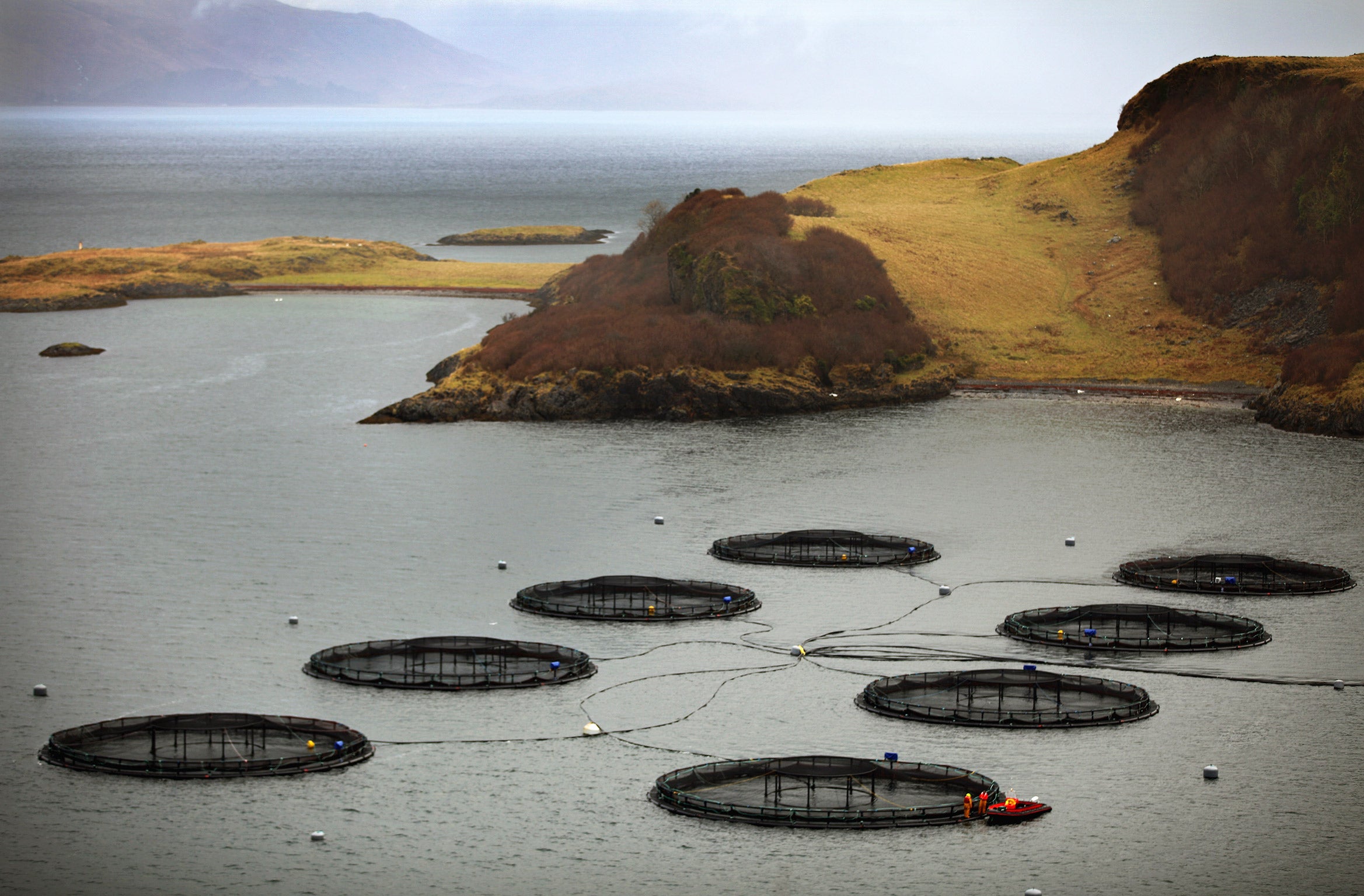 A fish farm in Scotland