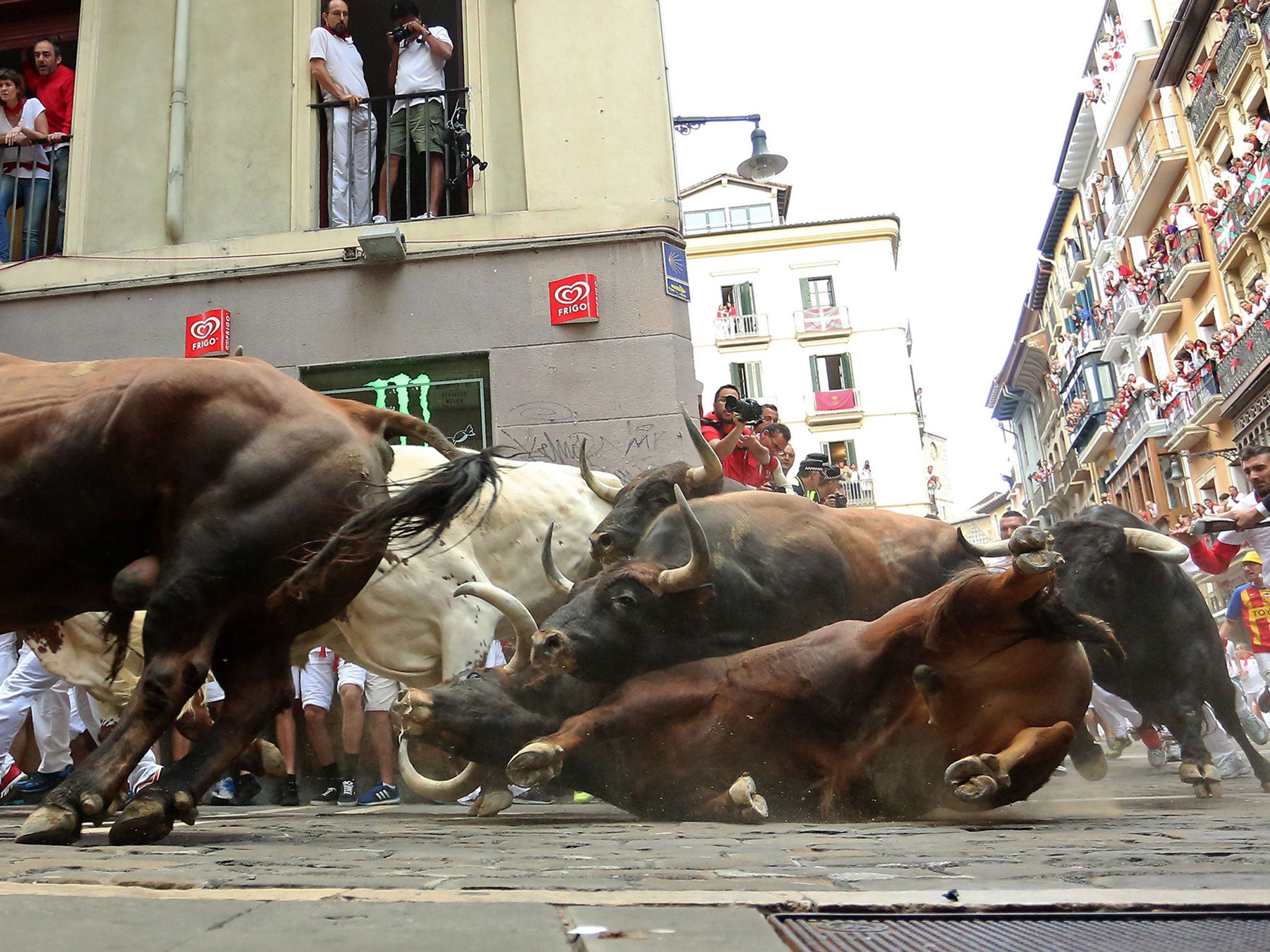 A Del Tajo la Reina's bull falls during the second "encierro" (bull-run) of the San Fermin Festival in Pamplona