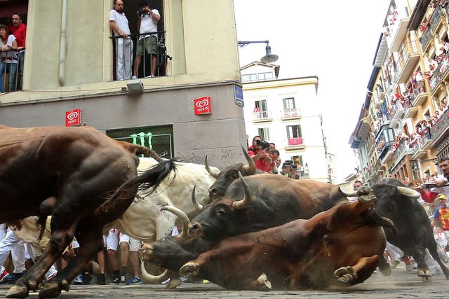 A Del Tajo la Reina's bull falls during the second "encierro" (bull-run) of the San Fermin Festival in Pamplona   