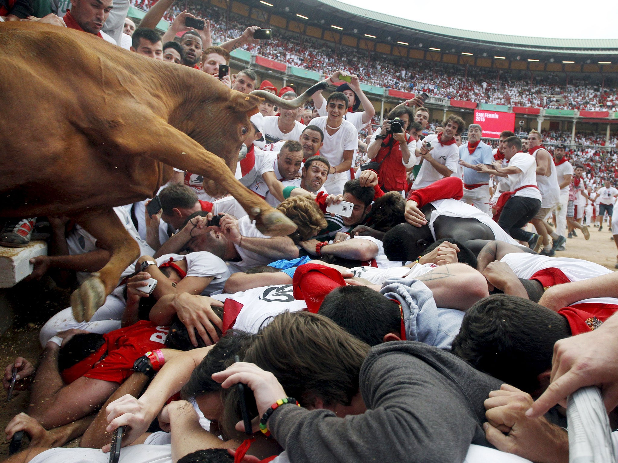 A wild cow leaps over revellers into the bull ring
