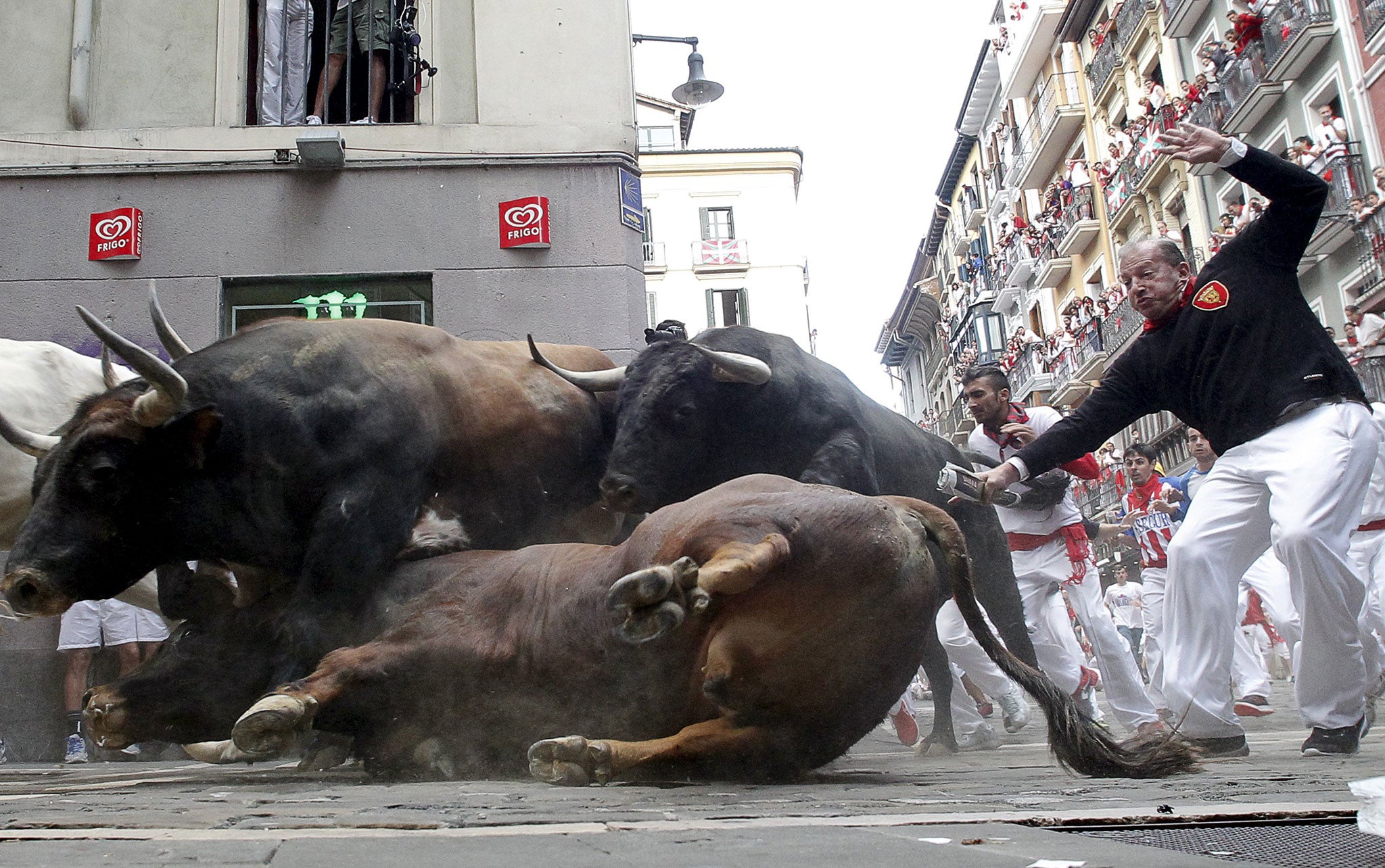 A fighting bull falls to the ground as it takes the Mercaderes curve