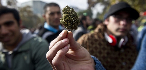A man holds a marijuana bud during a demonstration in Chile's capital