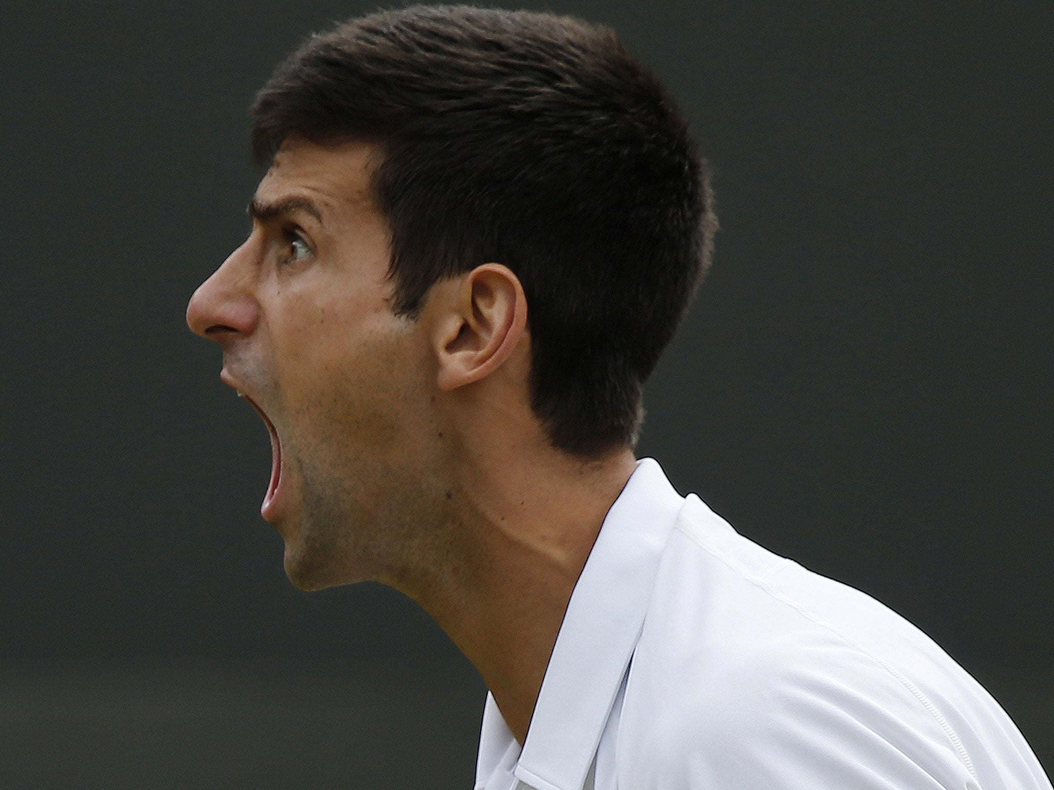 Djokovic during his match with Kevin Anderson