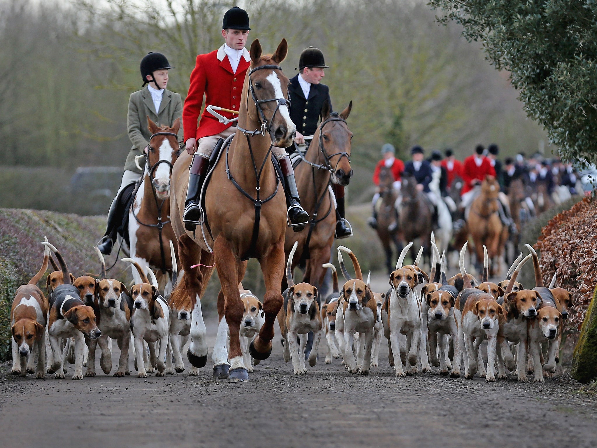 The hounds of the Atherstone Hunt, led by Hunstman Stuart Barton, set off on 5 March this year in Bosworth