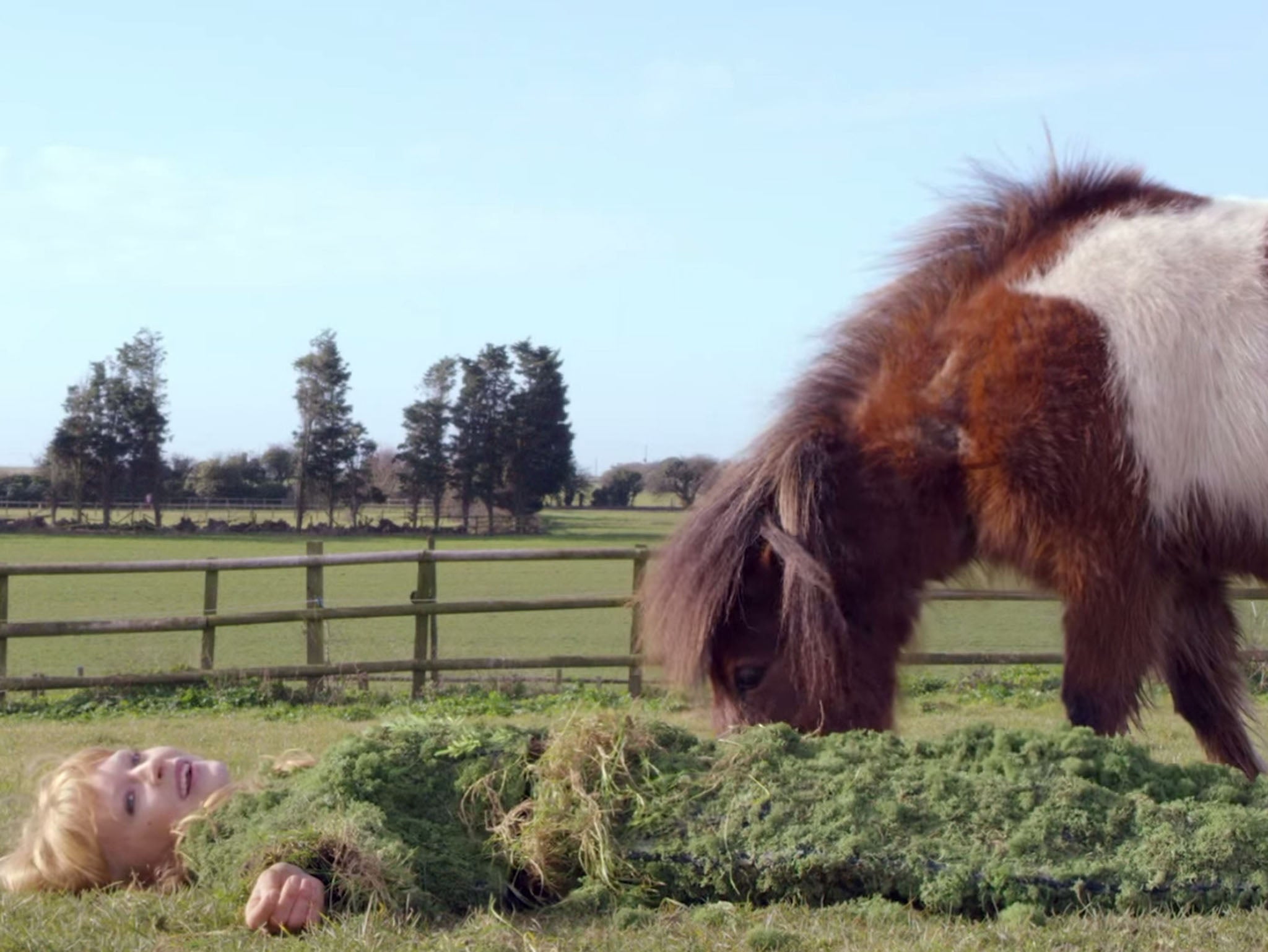 A still from Lucy Rose's music video 'Our Eyes'