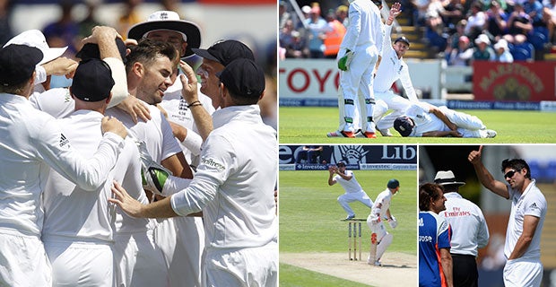 England celebrate the wicket of David Warner