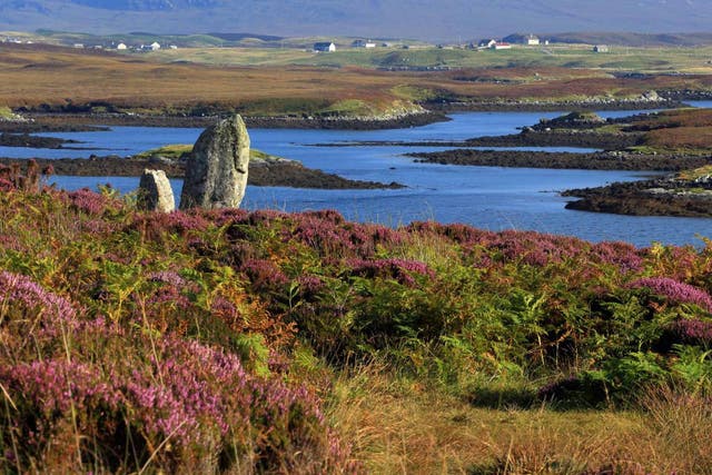 Heather forecast: the island of North Uist in the Outer Hebrides