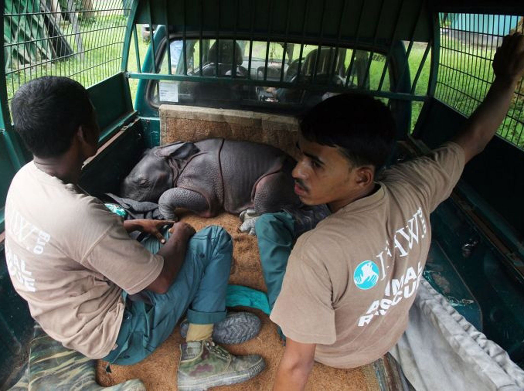 The 430-square-kilometre (166-square-mile) park is home to the largest concentration of the world's remaining one-horned rhinoceros. (Image: AFP)