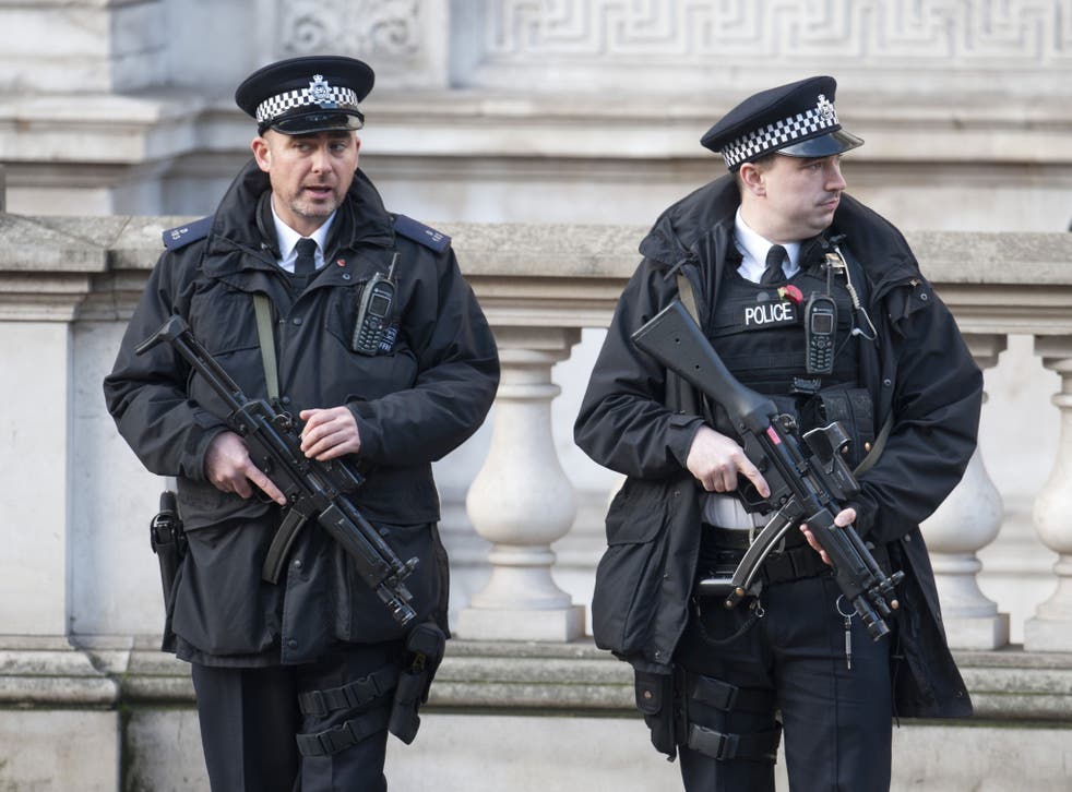 Armed police patrol at the Remembrance Sunday events in London in 2014
