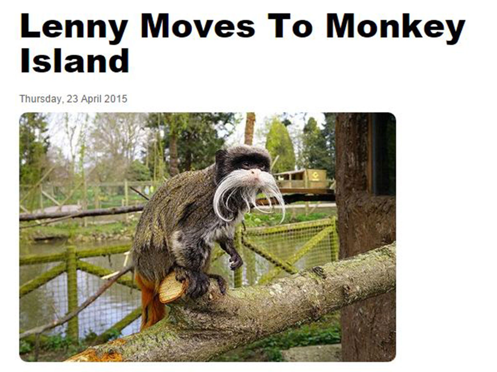 The big news this month is that Lenny has moved to Monkey Island