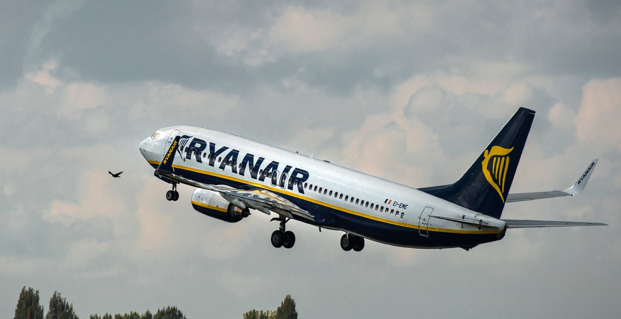 An enforcement order against Ryanair is yet to be heard