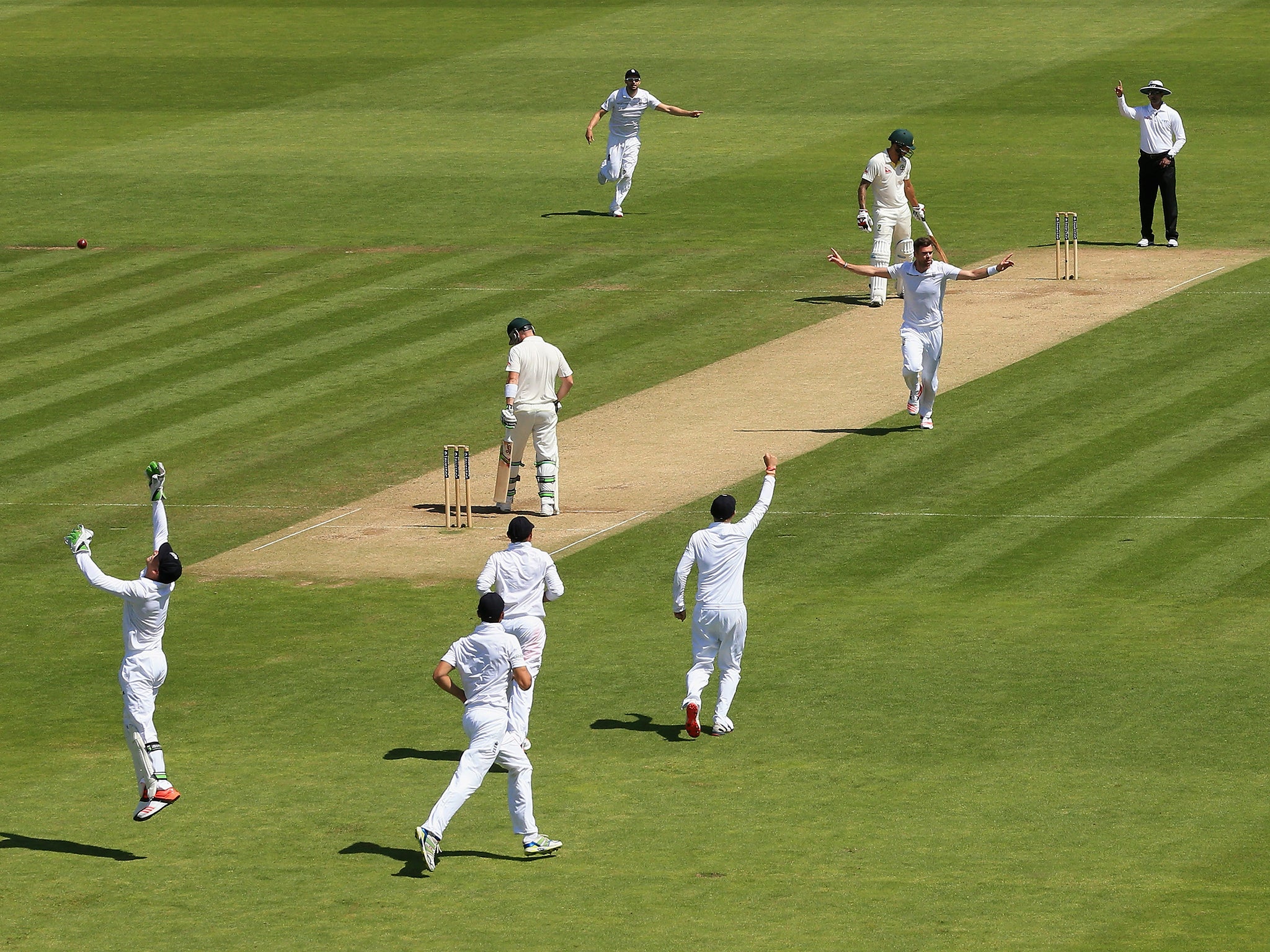 Jimmy Anderson celebrates a wicket