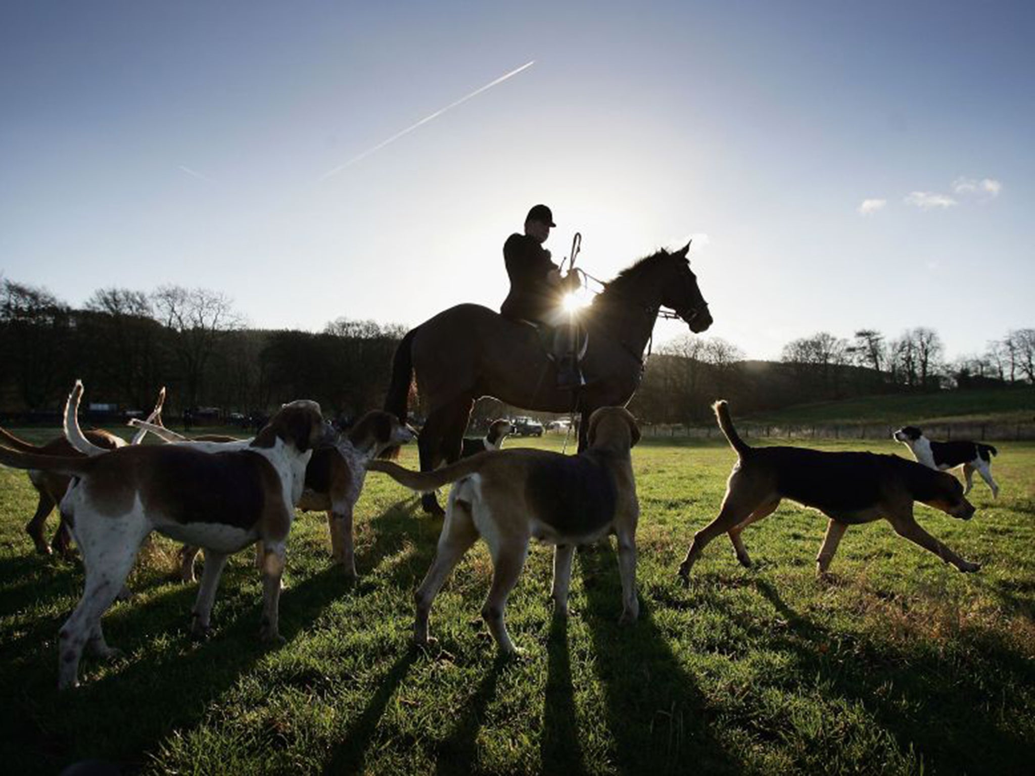 The Master and hounds of the Buccleuch Hunt in Selkirk, Scotland
