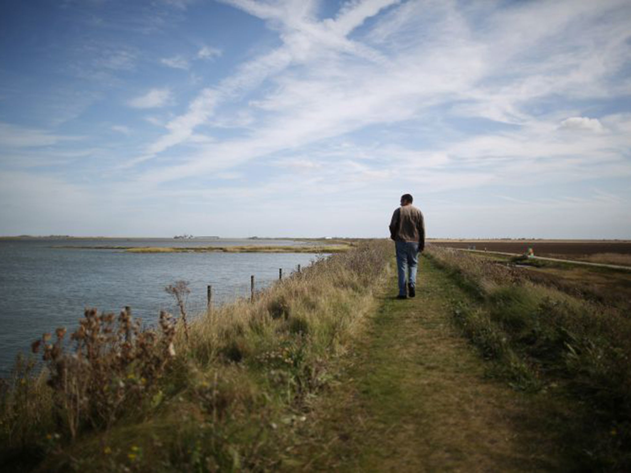 Wallasea Island has been transformed from farmland into a thriving wetland twice the size of the City of London