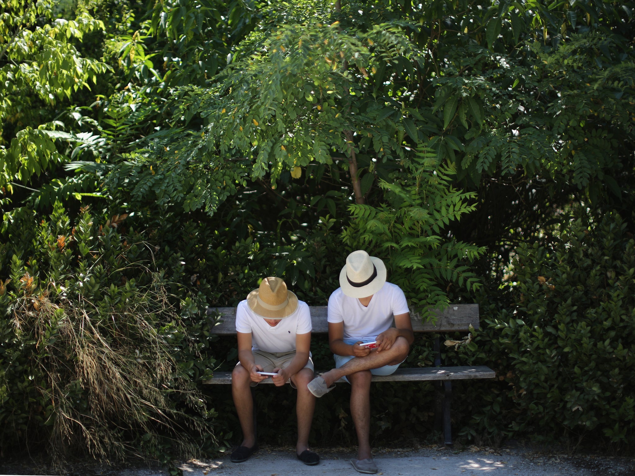 Two men look at their smart phones in the National Gardens on July 12, 2015 in Athens, Greece