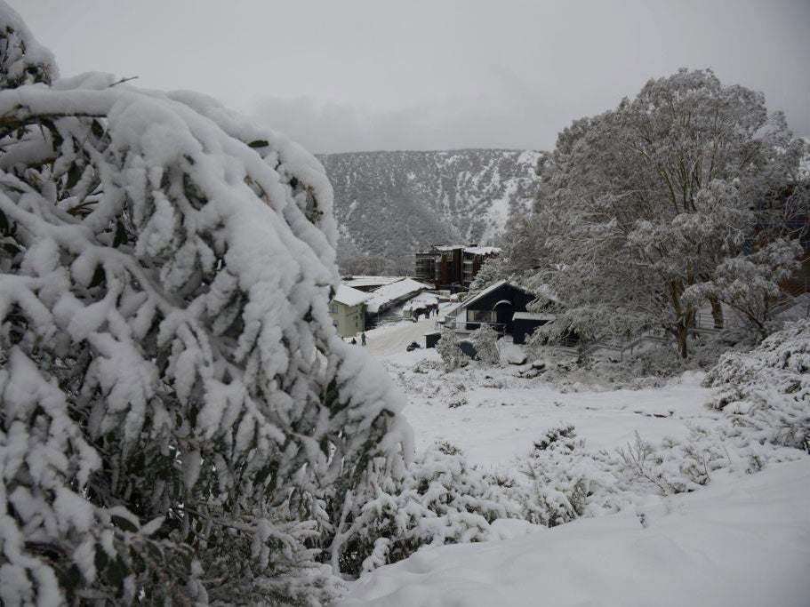 Snow has blanketed parts of New South Wales and Victoria as cold air from the Antarctic reached Australia