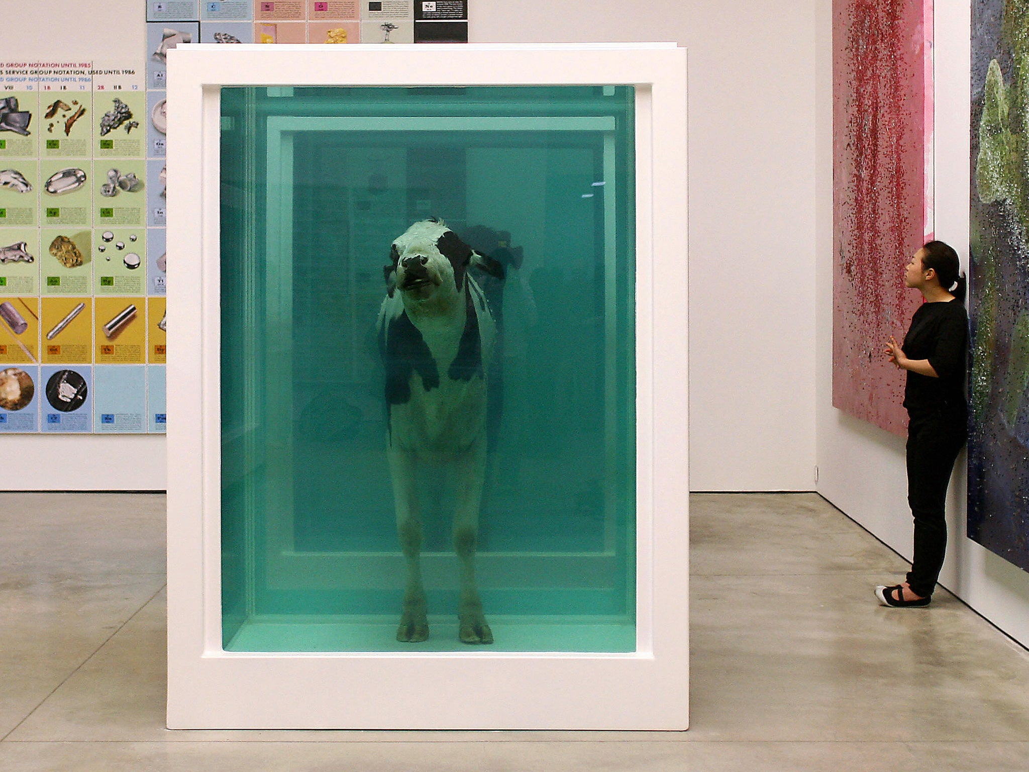 The chemical, used here to preserve a cow in Damien Hirst's work 'Love's Paradox', has been found to interfere with proteins in the brain