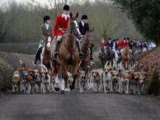Cameron drops plans to relax fox hunting ban