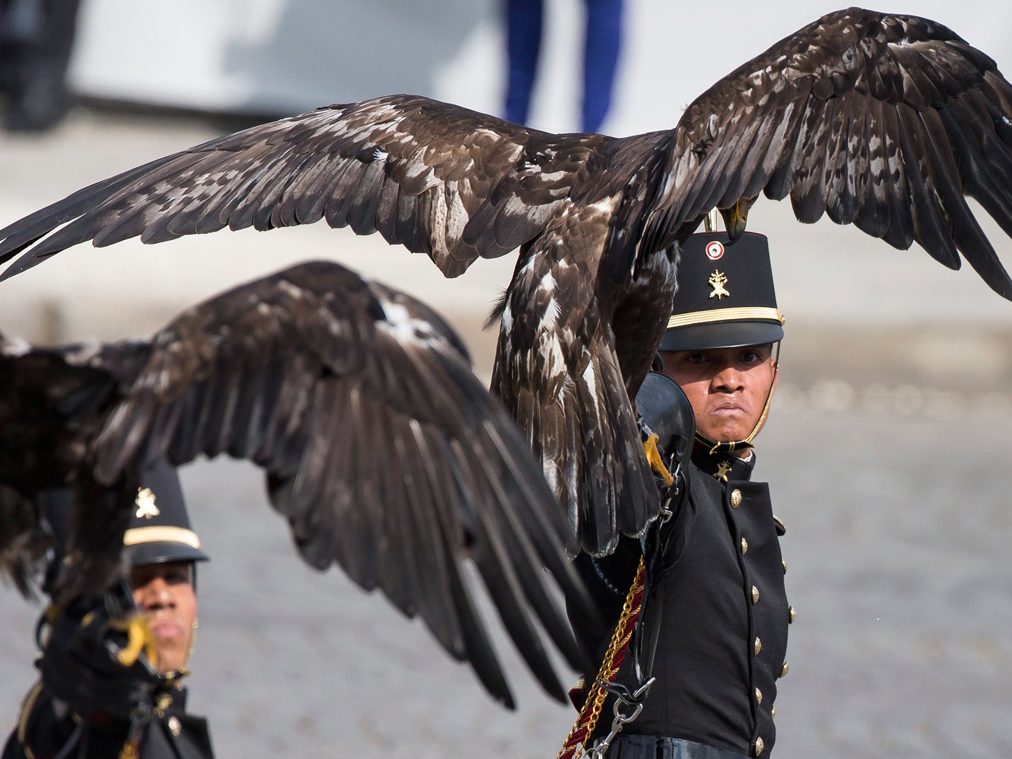 A cadet of the Mexican Army and a trained eagle attends the traditional military parade