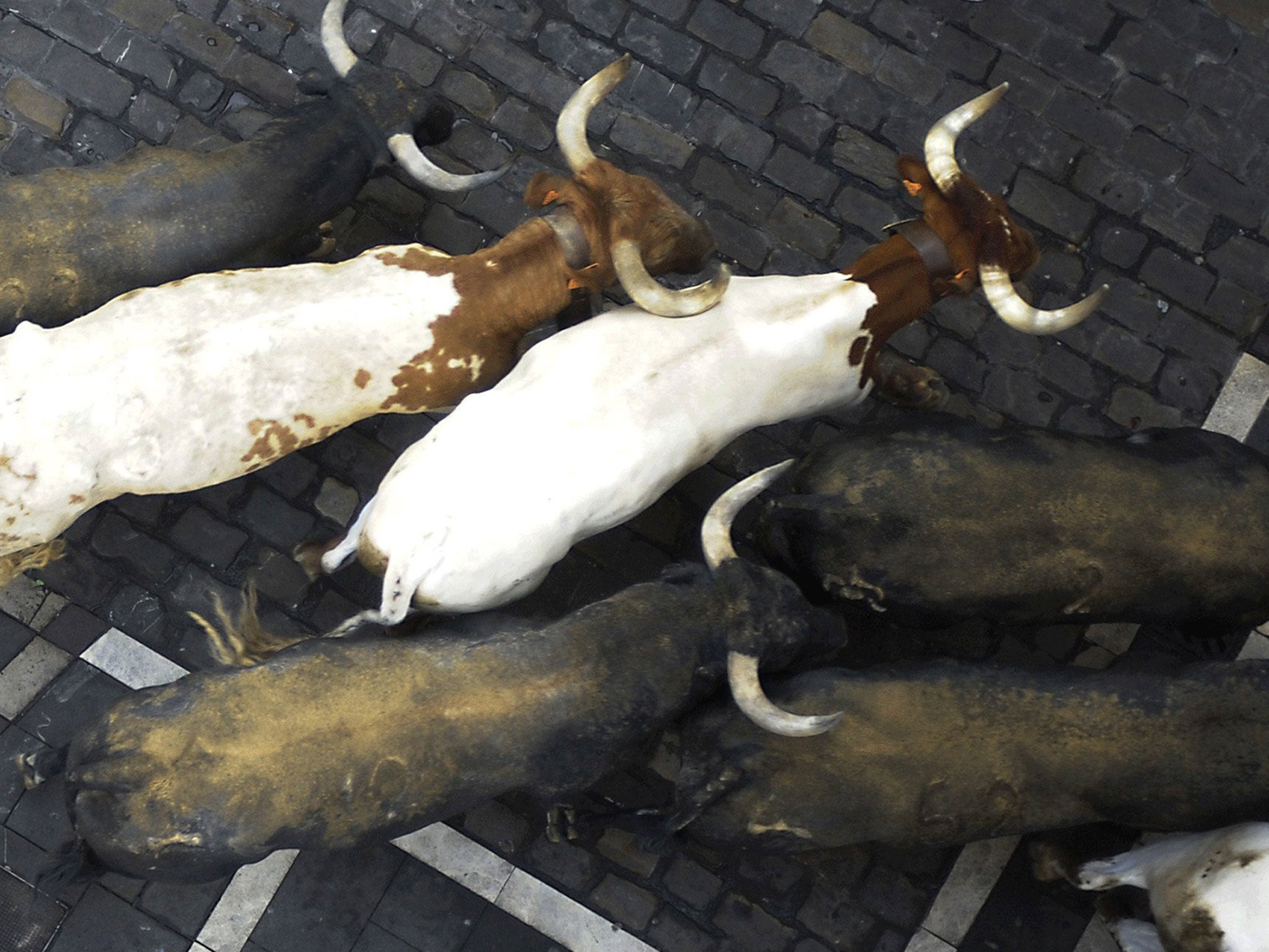 The last 'encierro' (bull-run) of the San Fermin Festival in Pamplona, northern Spain, on July 14