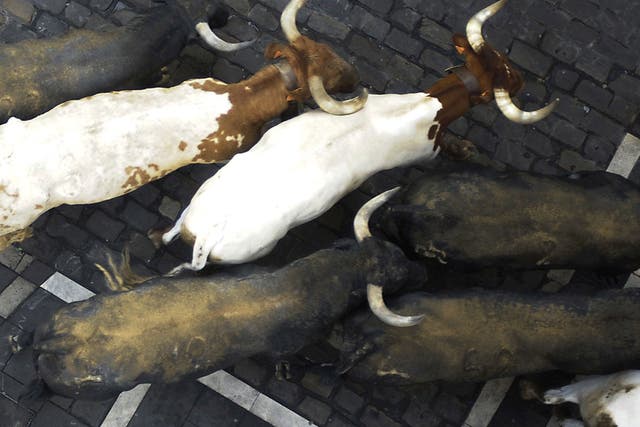 The last 'encierro' (bull-run) of the San Fermin Festival in Pamplona, northern Spain, on July 14